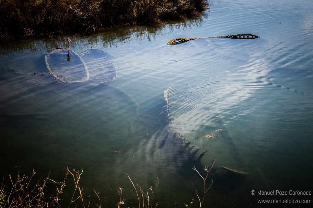 Cantabria y Asturias