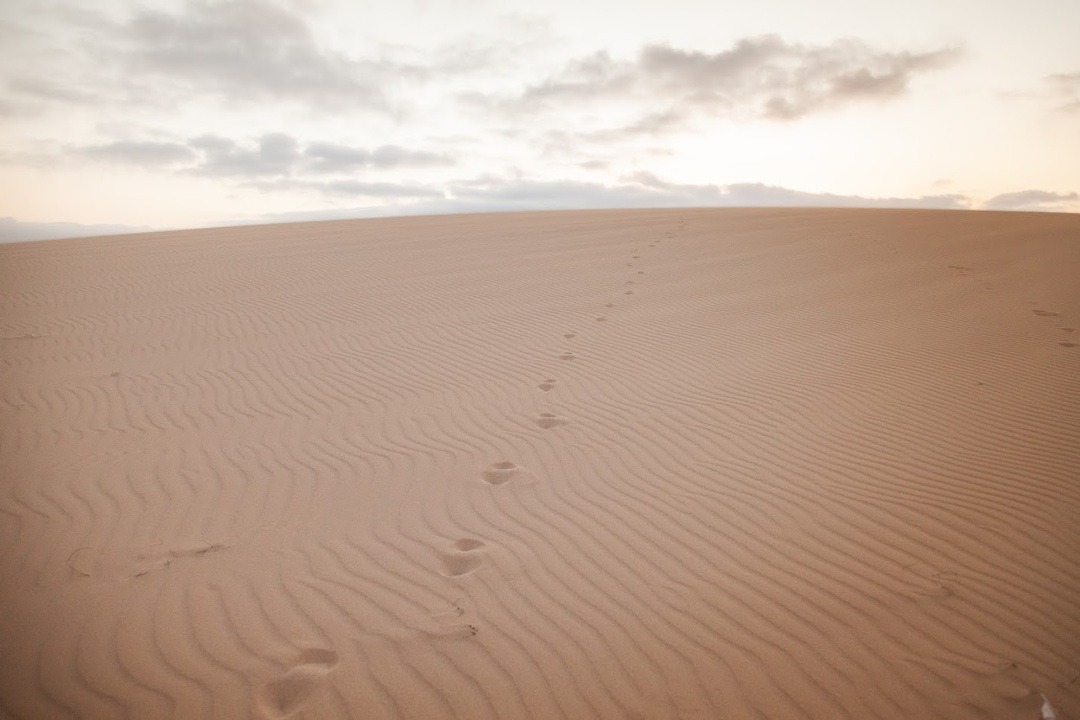 Fuerteventura 2020-11